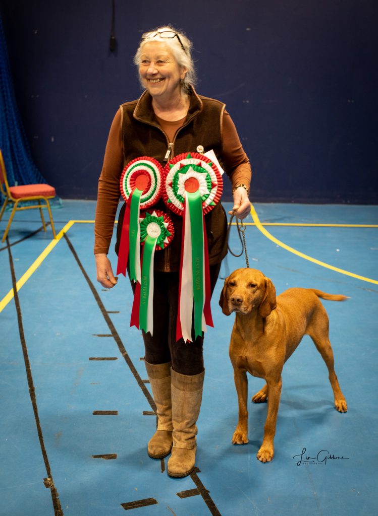 BEST OF BREED: TOWNSEND, MRS L J – SH CH DAXPACK RISKTAKER RAINSCOTE