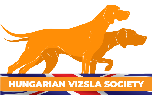 Hungarian Vizsla Society