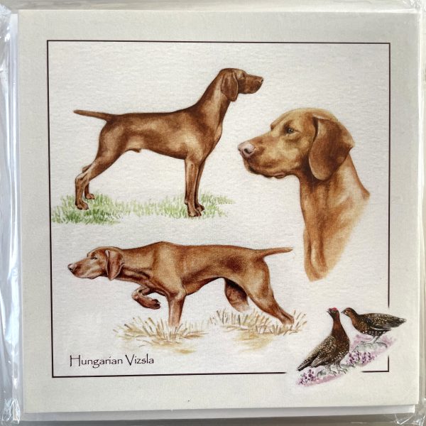 Hungarian Vizsla cards
