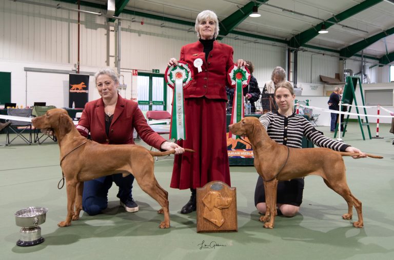 HVS Championship Show – October 2025