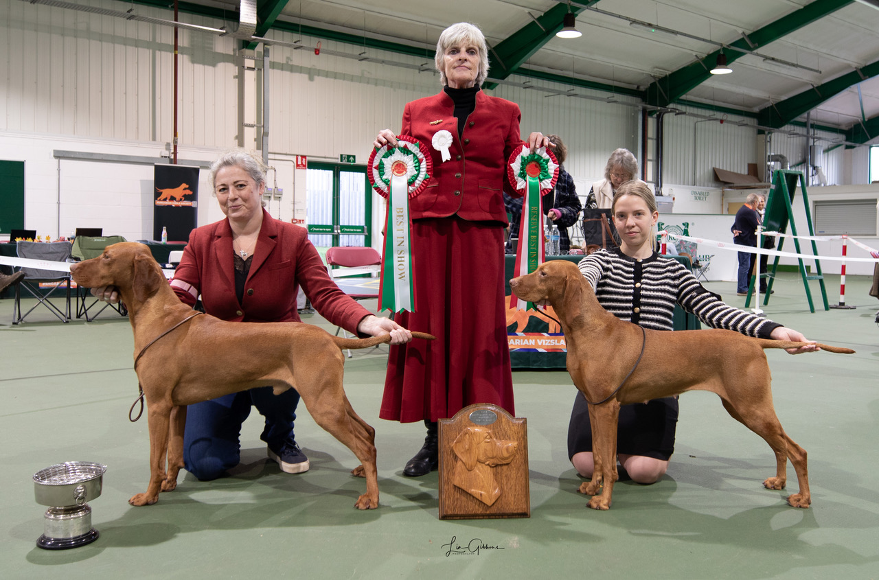 HVS Championship Show – October 2025