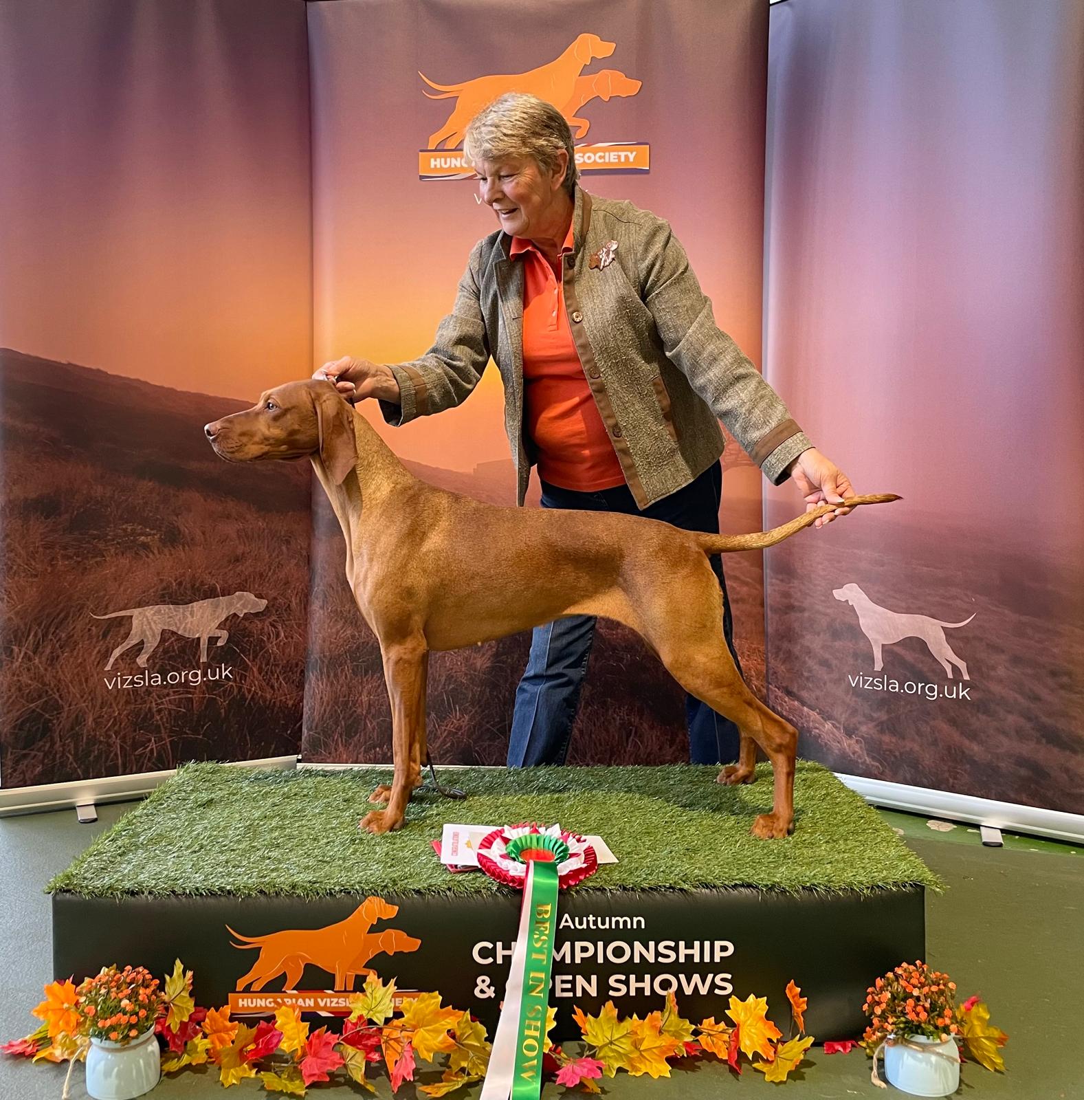 HVS Open Show October 2025