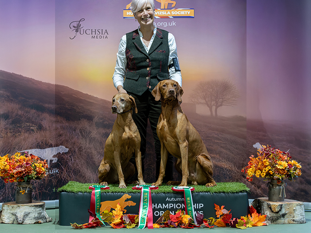 HVS Open Show –  October 2026